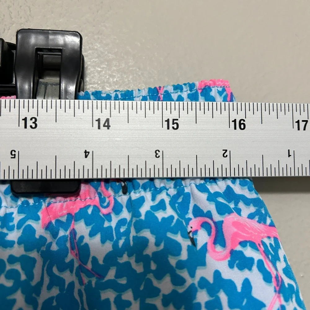 Chubbies Swim Trunks Mens XL Blue Pink Flamingo 7